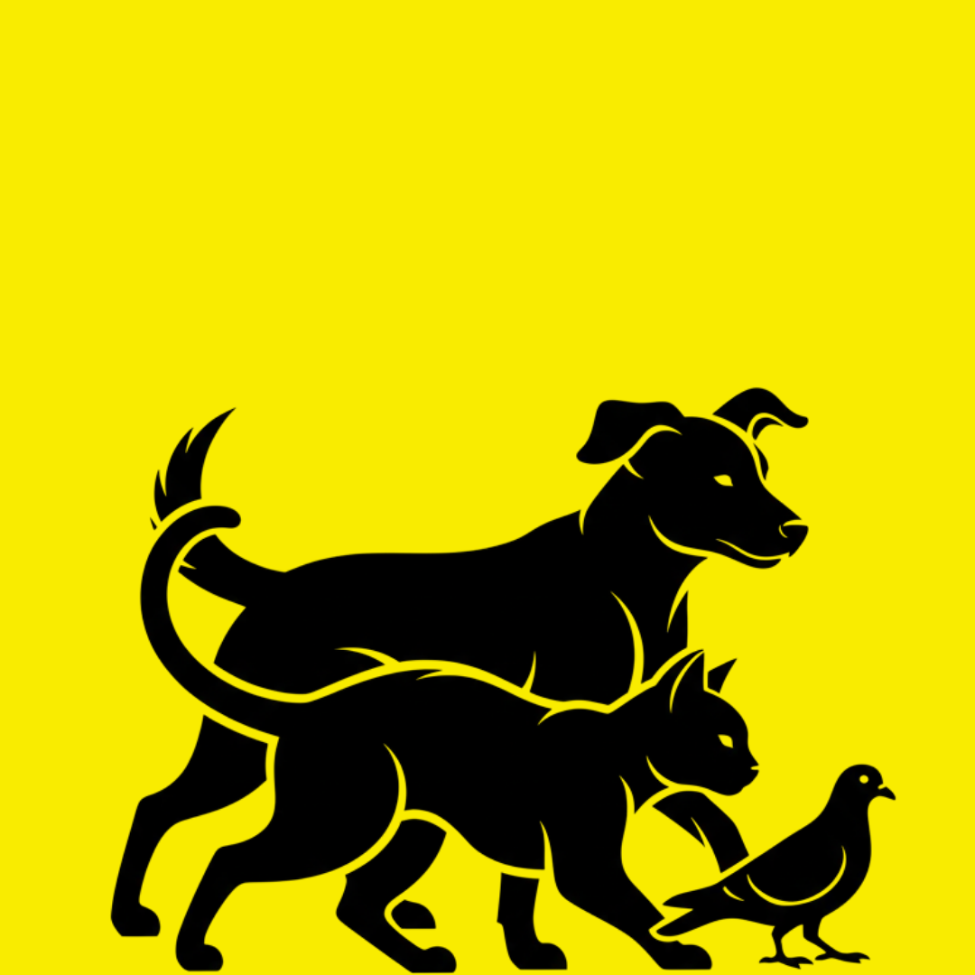 Street Animal Control