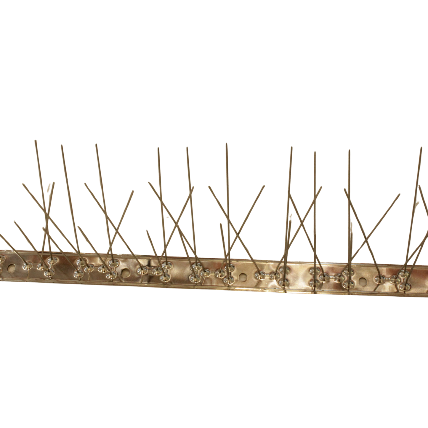 Bird Spike – 50cm Full Stainless Steel 604 Base